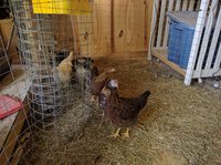 IMG_20180422_095408.jpg