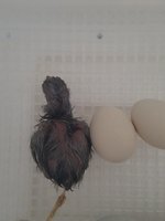 20180422_134339.jpg