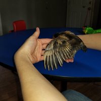 20180422_155300.jpg