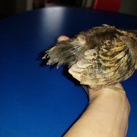 20180422_155141.jpg