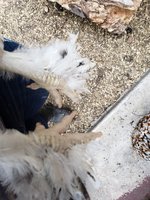 20180422_183251.jpg