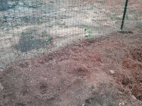 20180422_183114.jpg