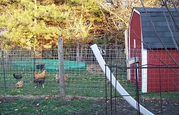100_8059.jpg 100_8059.jpg