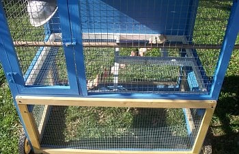 100_1867.jpg 100_1867.jpg
