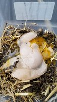 20180422_065743.jpg