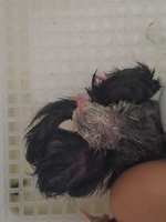 20180423_094931.jpg