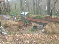 20180423_142205.jpg
