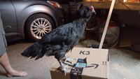 20180423_203356.jpg