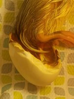 20180423_213653.jpg
