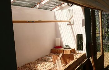 Coop-interiorwithsideopened.jpg