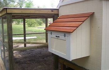 100_1646.jpg 100_1646.jpg