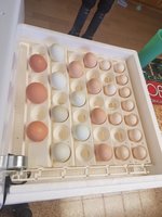 20180424_165413.jpg