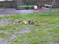 WP_20180424_20_02_45_Pro.jpg