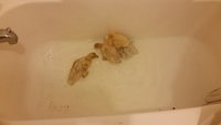20180424_204715.jpg 20180424_204715.jpg