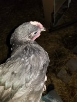 20180424_203948.jpg