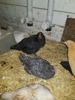 20180424_204229.jpg