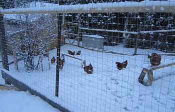 snow.jpg snow.jpg