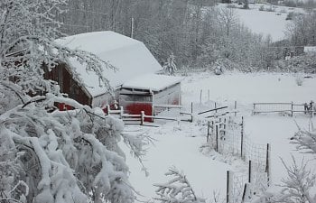 BarnafterDec06Storm.jpg