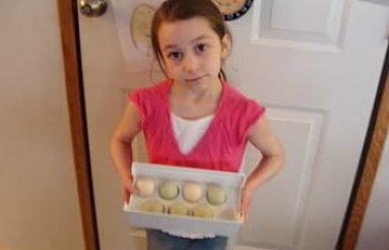 eggs001.jpg eggs001.jpg