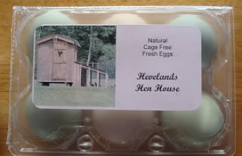 eggs006.jpg eggs006.jpg