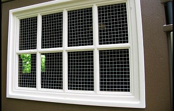 CoopWindowClose.jpg CoopWindowClose.jpg