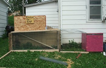 DMTRabbitryPictures013.jpg DMTRabbitryPictures013.jpg