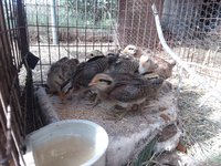20180424_164230.jpg