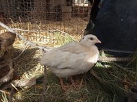 20180424_164225.jpg