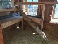 IMG_5421.JPG