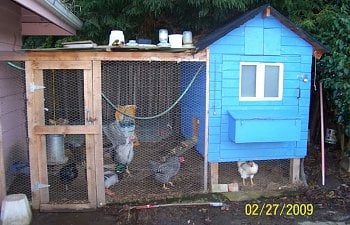 101_1681.jpg 101_1681.jpg
