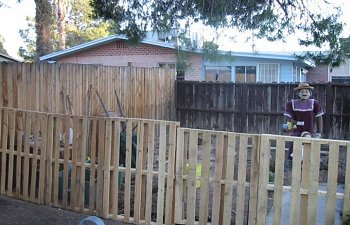 PalletFenceVegGarden2006email.jpg PalletFenceVegGarden2006email.jpg
