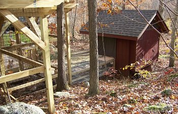 ChickenRun020.jpg ChickenRun020.jpg