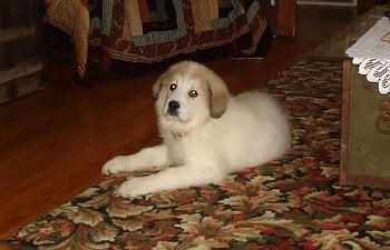 bella003.jpg bella003.jpg