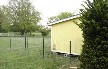 newcooppics020.jpg newcooppics020.jpg