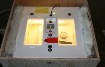 Incubatorbox002.jpg Incubatorbox002.jpg