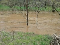 20180425_162645.jpg
