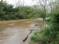 20180425_160856.jpg