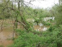20180425_161515.jpg
