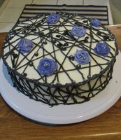 practice cake 2.jpg
