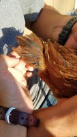 20180426_184805.jpg
