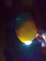 WP_20180426_21_00_02_Pro.jpg