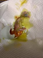 WP_20180426_21_04_44_Pro.jpg