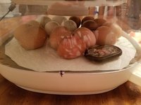 20180426_221654.jpg