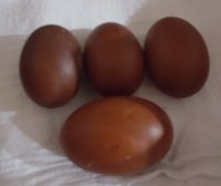 20180426_234550.jpg
