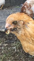 2018-04-27.jpg