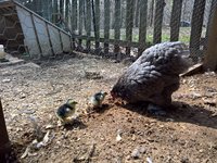 WP_20180427_11_09_50_Pro.jpg