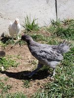 20180427_152316.jpg