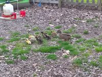 WP_20180427_19_07_44_Pro.jpg