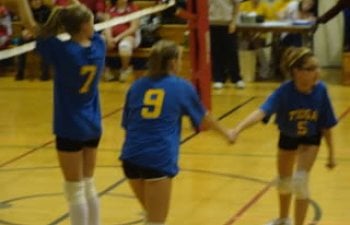 volleyball.jpg