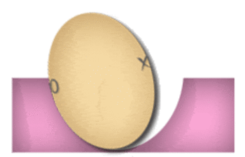 egg-turning-1.gif